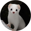 宮城めぐみ（さく羅） profile picture